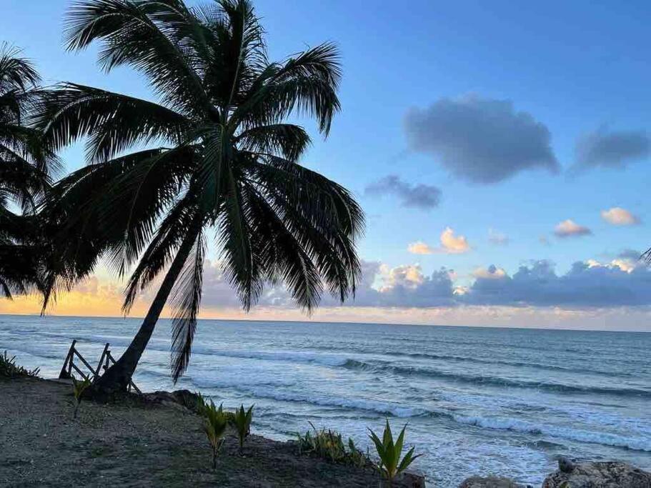 My Dream Beach House Агуада Экстерьер фото